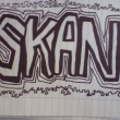 Skan