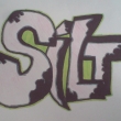 silt